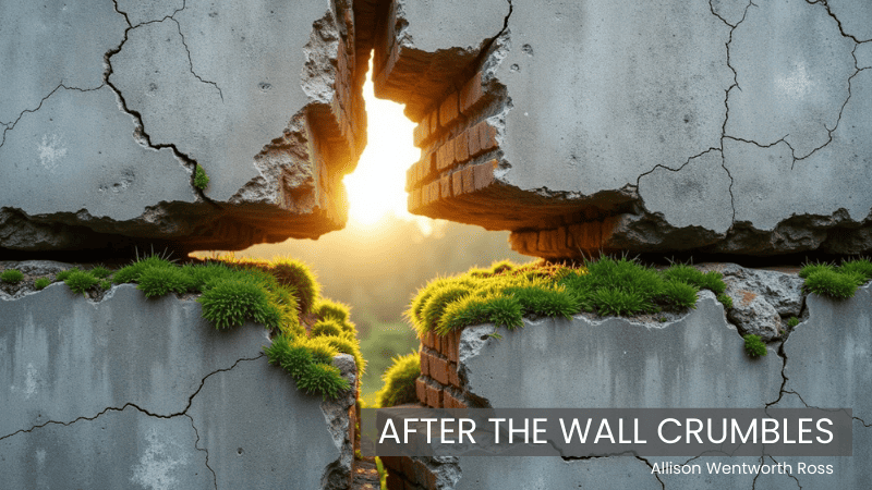 After the wall crumbles violet portal